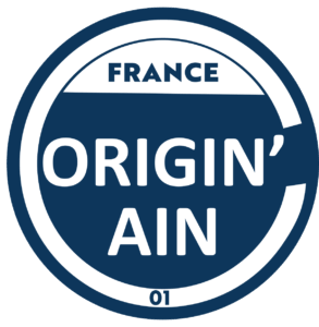 Originain_Bleu_vecto